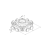 4824032330883_rys.png